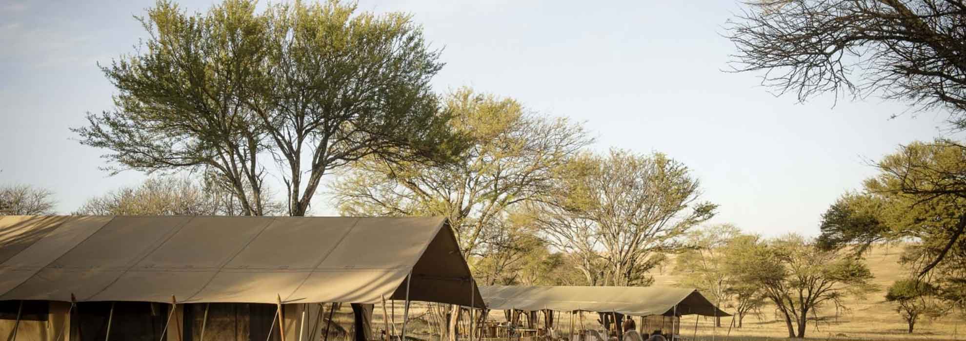 Tanzania Budget Camping Safari from Mwanza to Ngorongoro, Mwanza