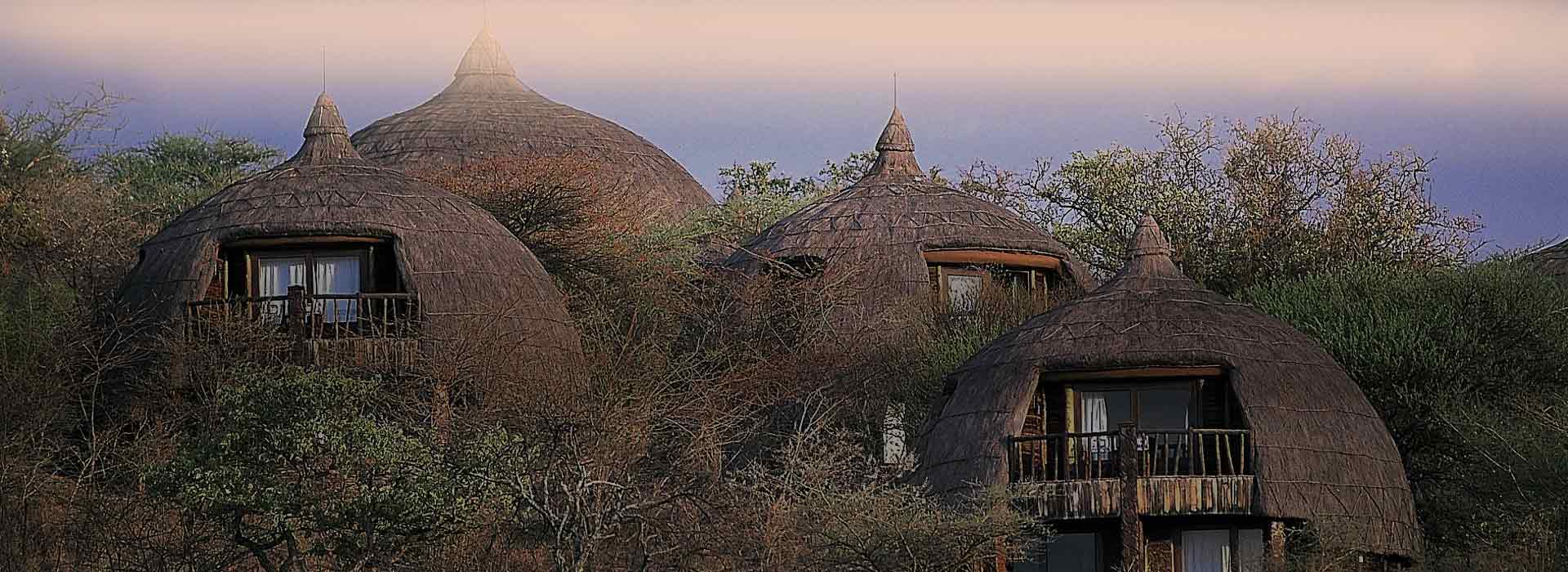 Tanzania Lodge Safari 
