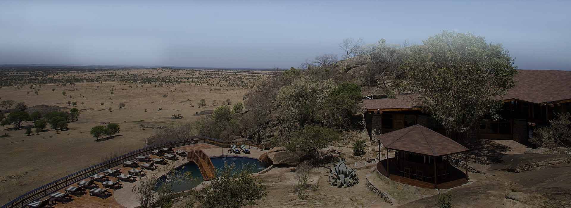 Tanzania Lodge Safari from Mwanza 