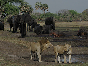 Katavi National Park