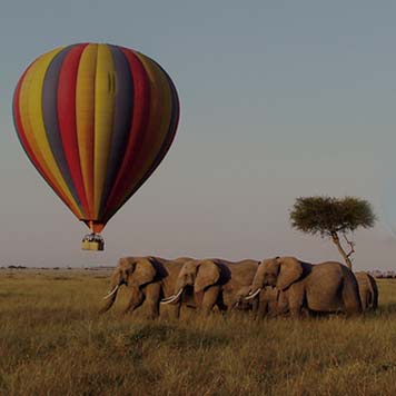 Kenya Hot Air Balloon Safaris