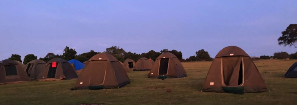 days tanzania budget camping safari banner
