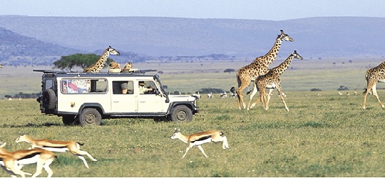 Maasai Mara