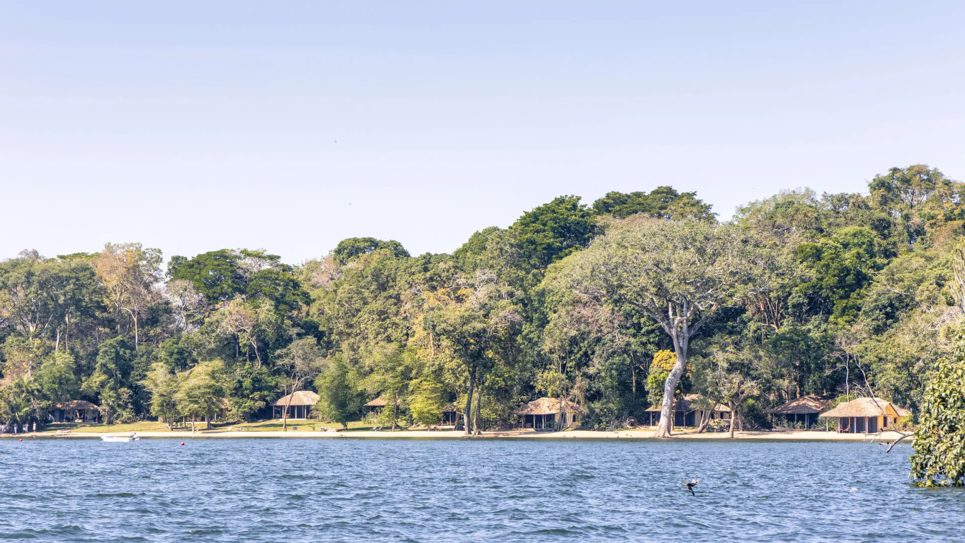 Rubondo Island ( Lake Excusion )
