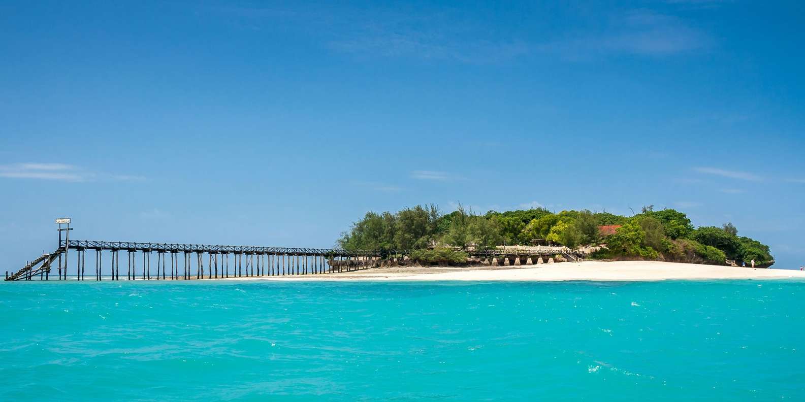 STONE TOWN Prison Island & Spice Tour