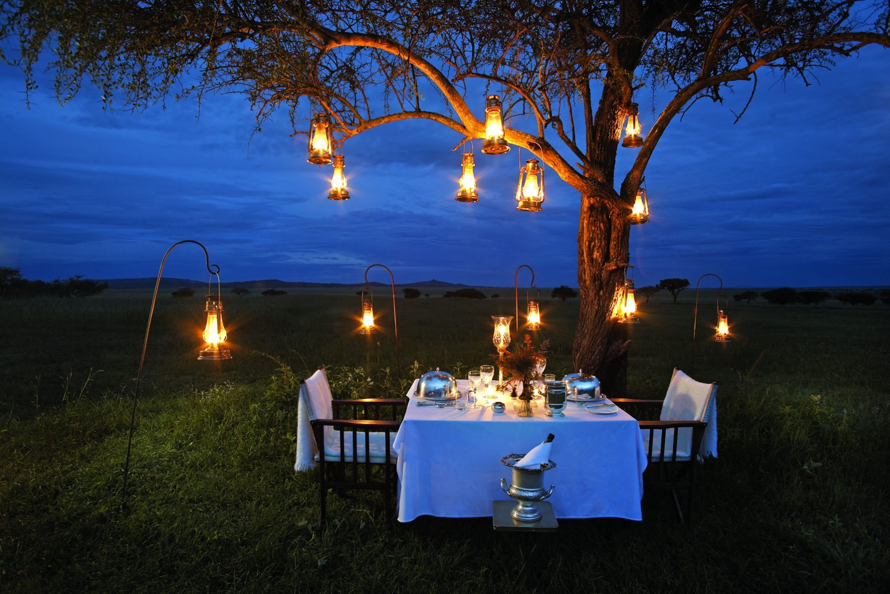 Sabora Bush Dinner