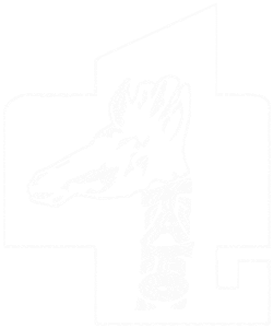 TATO Logo gif
