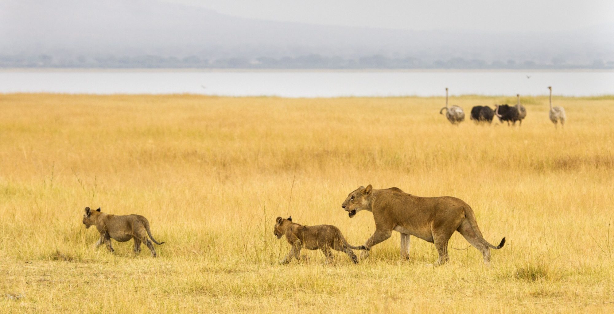 Tarangire National Park