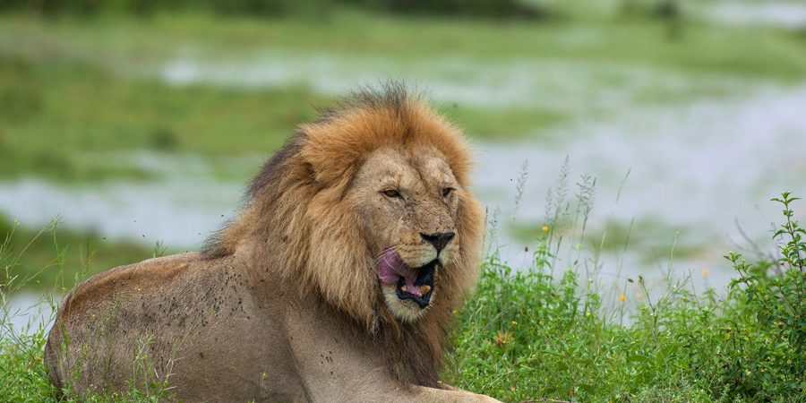 Tarangire National Park
