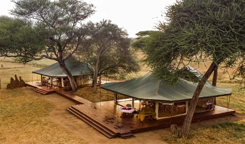 honeyguide tarangire camp dcb
