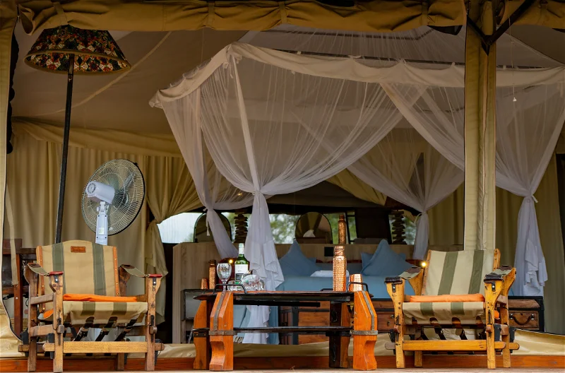 honeyguide tarangire camp