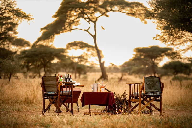 honeyguide tarangire camp ecae