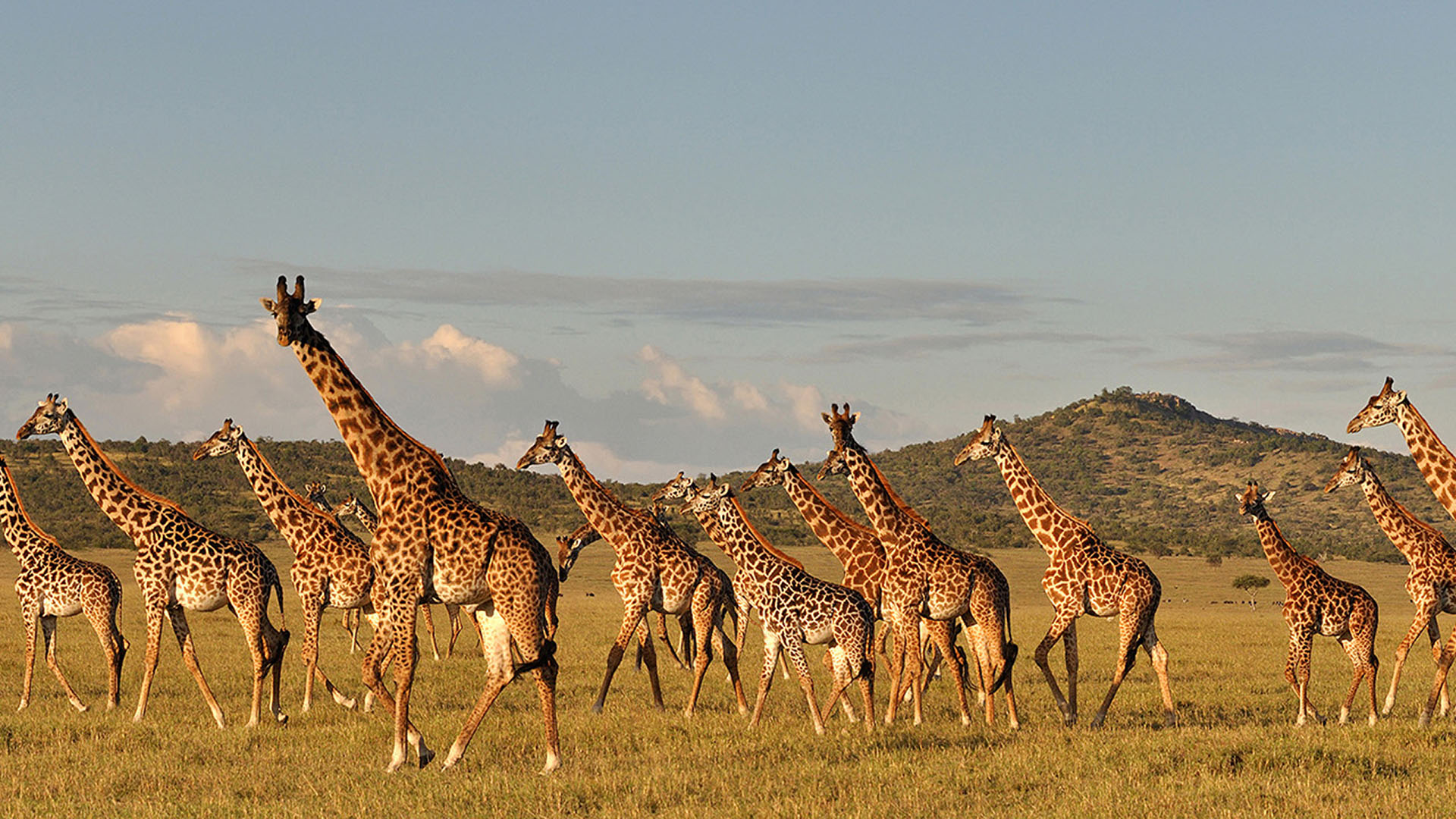 Kenya Tanzanie Zanzibar novembre