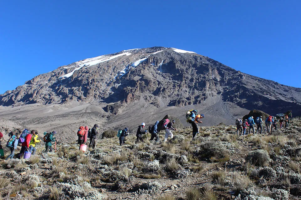 kilimanjaro rongai route days gallery