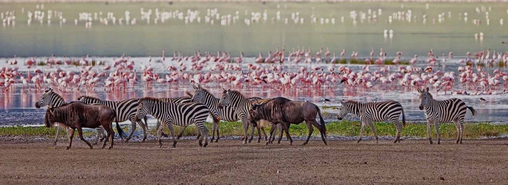 lake manyara national park banner