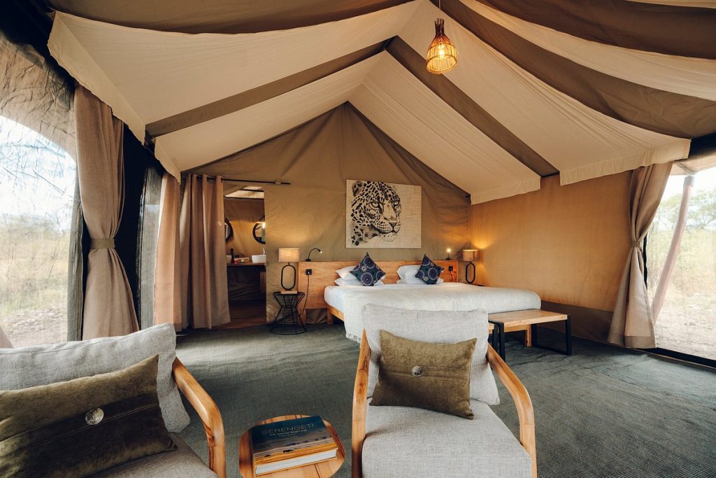 leopard room