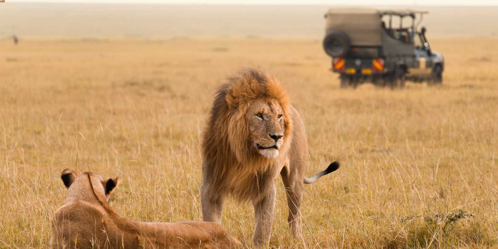 maasai mara national reserve