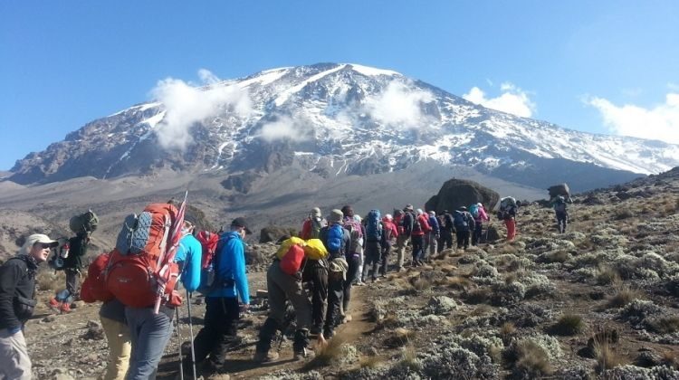 marangu hut