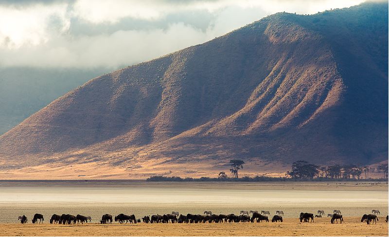 ngorongoro crater serengeti