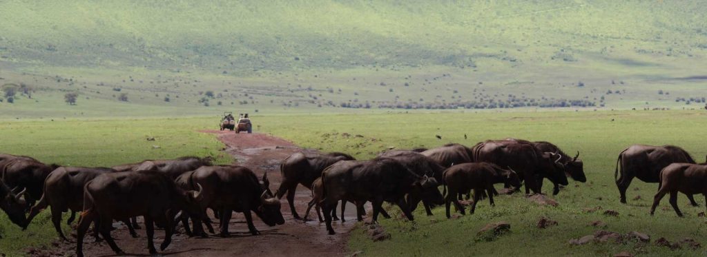 ngorongorocrater day trip tour banner
