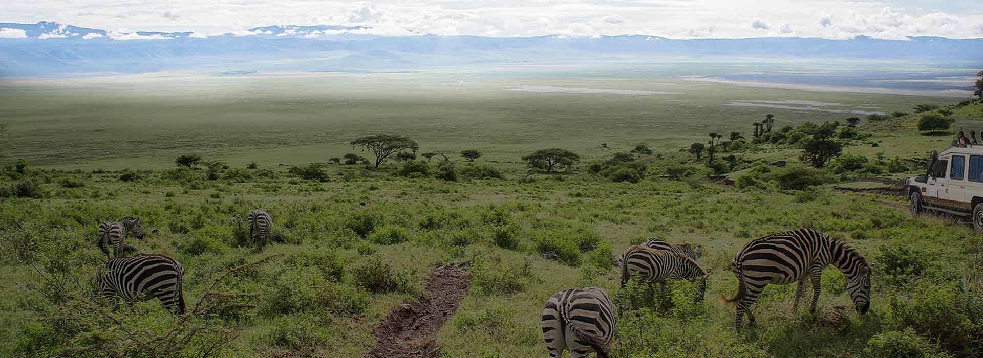ngorongro conservation area banner