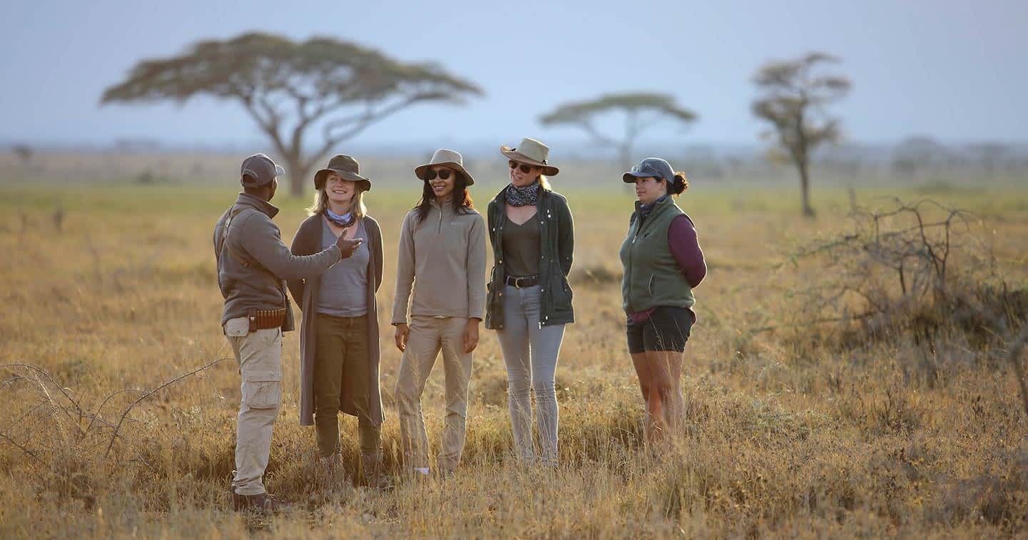 safari bush walk serengeti tanzania