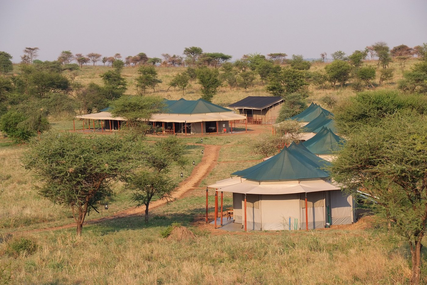 suenos de africa out
