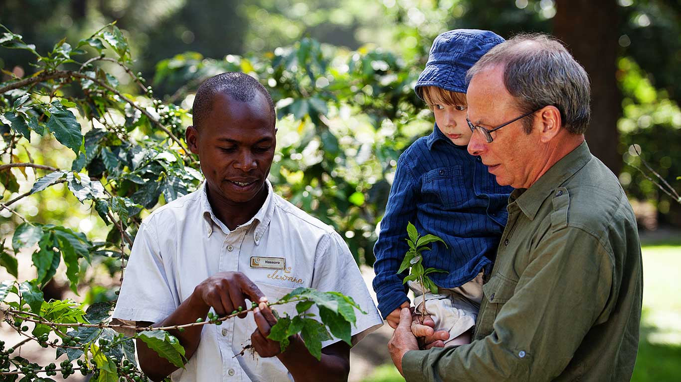 ArushaCoffeeLodge Coffee Tour