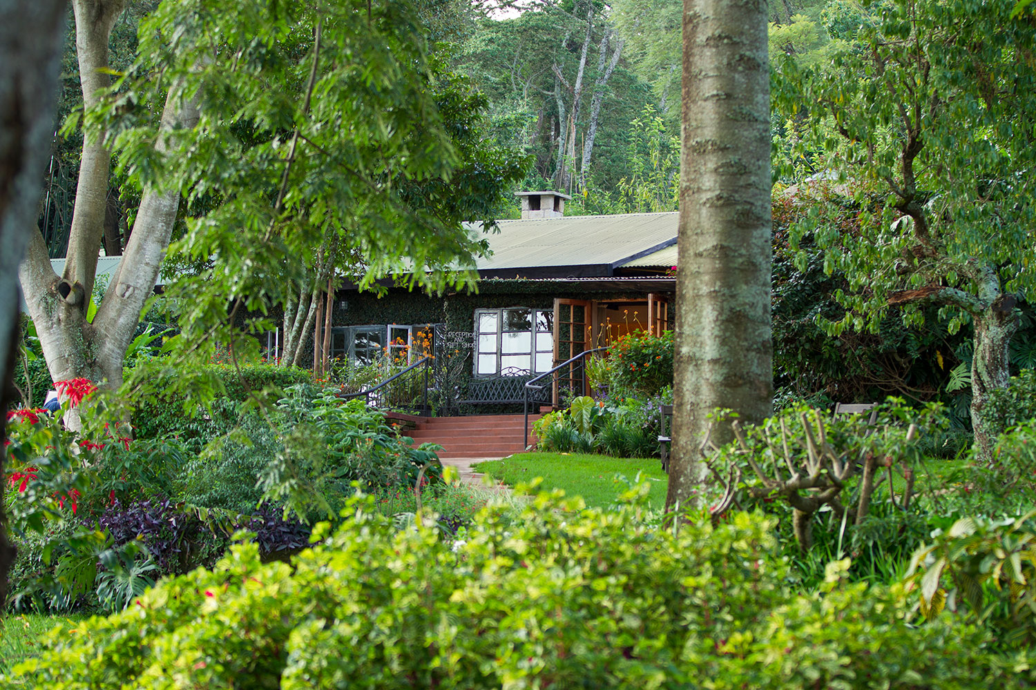Gibbs Farm cottage garden