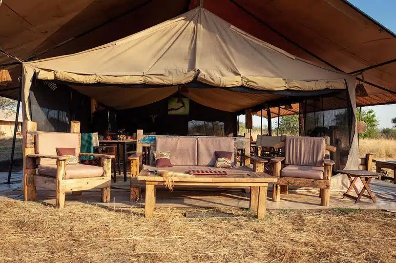 Gnu Ndutu Camp jpg