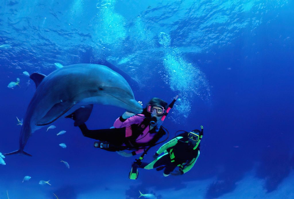 Scuba Diving