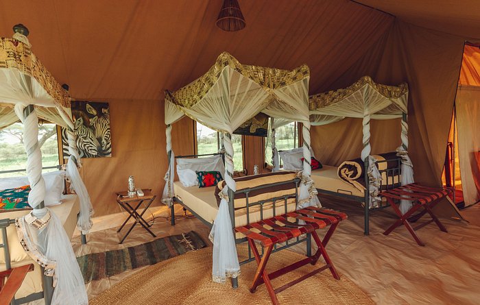 gnu migration camp