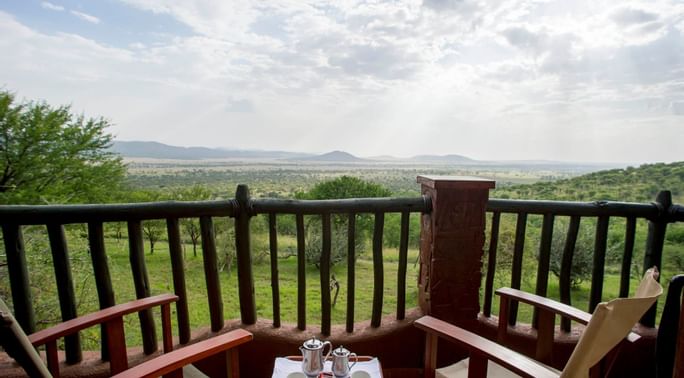 serenaserengeti