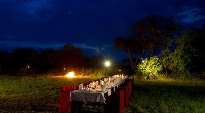 serenaserengeti