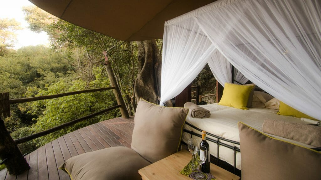tree house rubondo iland lodge tanzania x